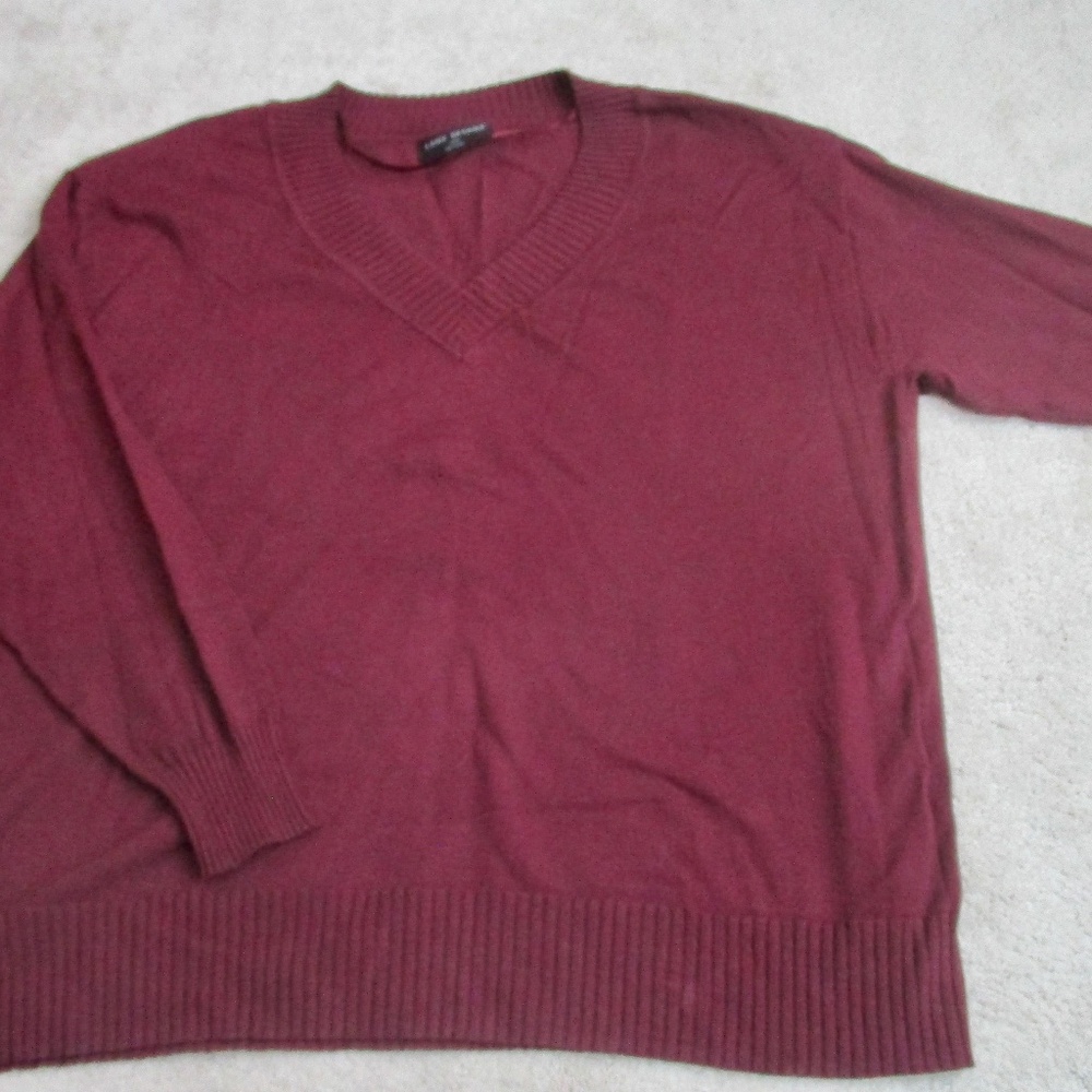 LANE BRYANT Womens Basic Purple V-Neck Sweater  Size 18/20 Long Sleeve BIN1-0017